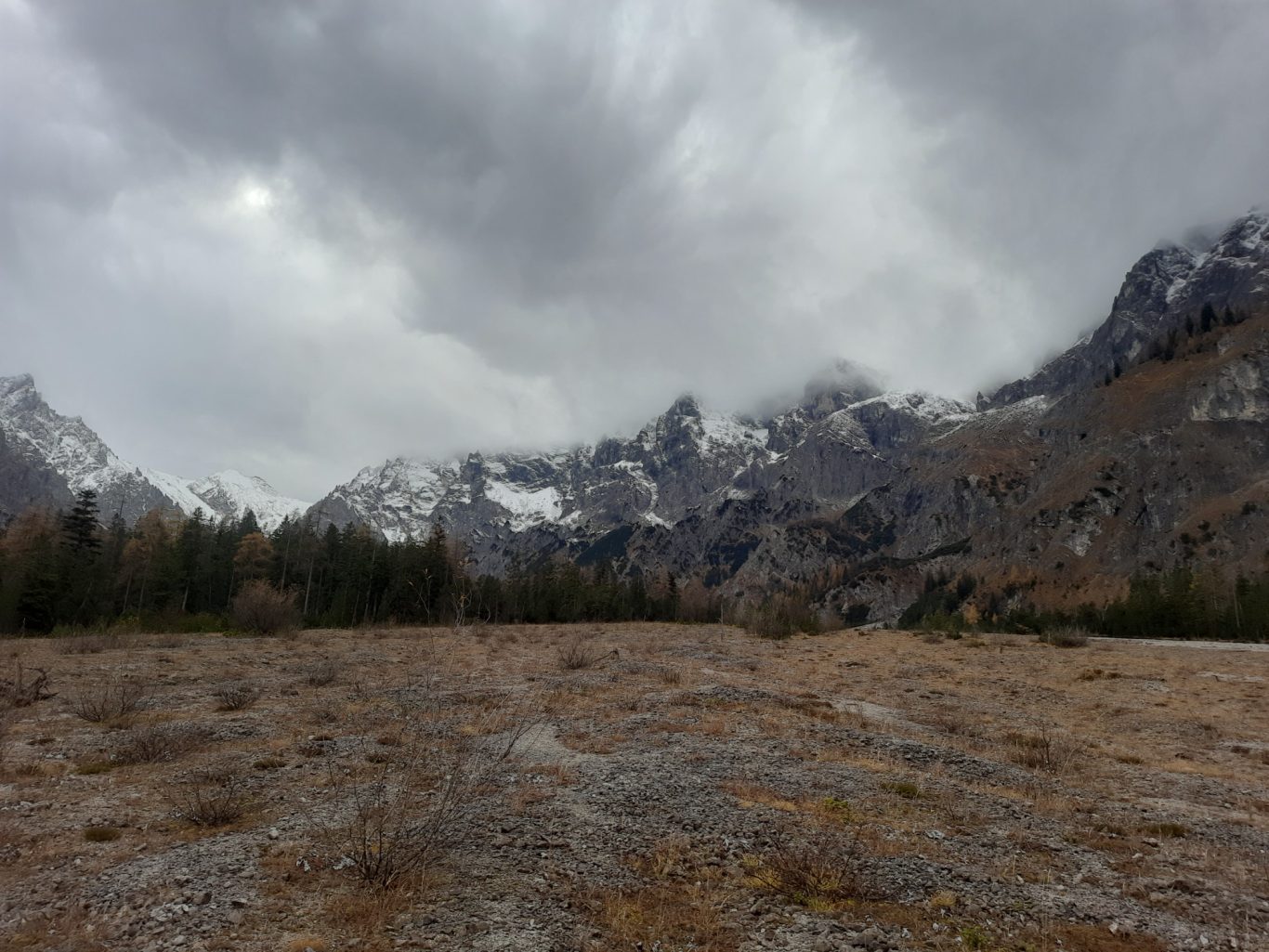 Schuttbank mit Bewuchs