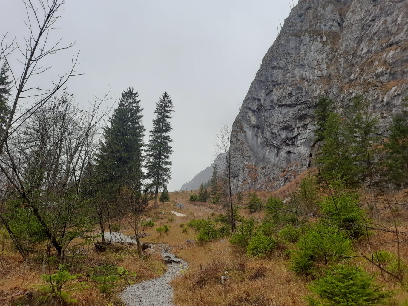 Umgebung am Wimbachschloss